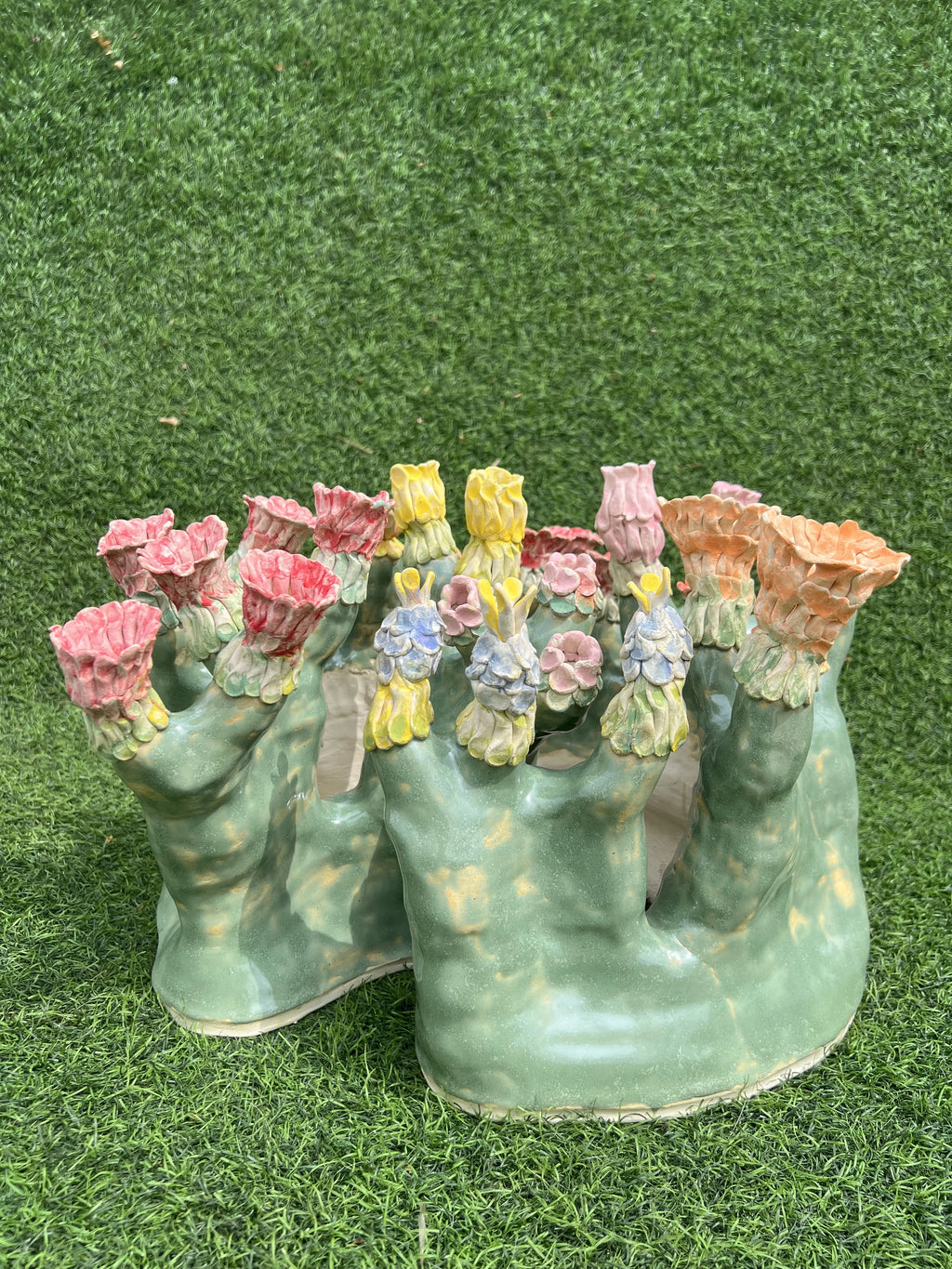 Flowering Shrub